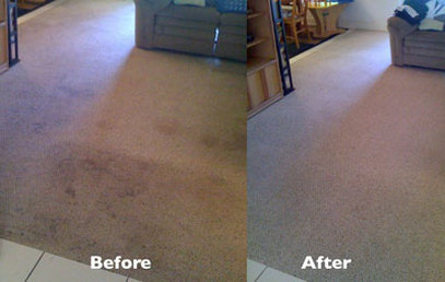 Carpet Cleaning | Westchester County | NY
