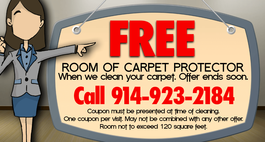 Carpet Protector with Carpet Cleaning | Irvington NY